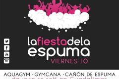 Clausura-2016