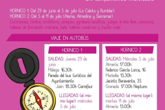 HORNICO-1-e1494754585526